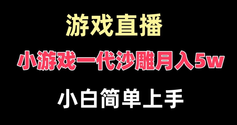 玩小游戏一代沙雕月入5w，爆裂变现，快速拿结果，高级保姆式教学【揭秘】-锦年学吧