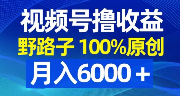 视频号野路子撸收益，100%原创，条条爆款，月入6000＋【揭秘】-锦年学吧