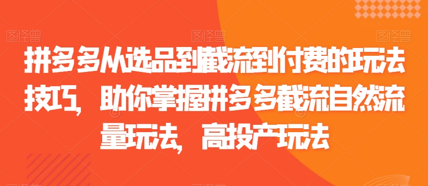 拼多多从选品到截流到付费的玩法技巧，助你掌握拼多多截流自然流量玩法，高投产玩法-锦年学吧