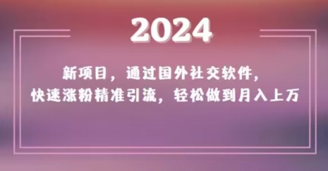 2024新项目，通过国外社交软件，快速涨粉精准引流，轻松做到月入上万【揭秘】-锦年学吧