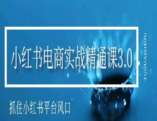 小红书电商实战精通课3.0，抓住小红书平台的风口，不错过有一个赚钱的机会-锦年学吧