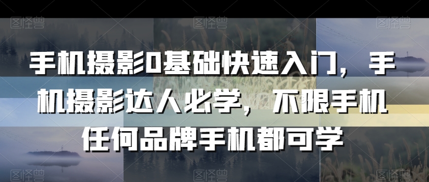 手机摄影0基础快速入门，手机摄影达人必学，不限手机任何品牌手机都可学-锦年学吧