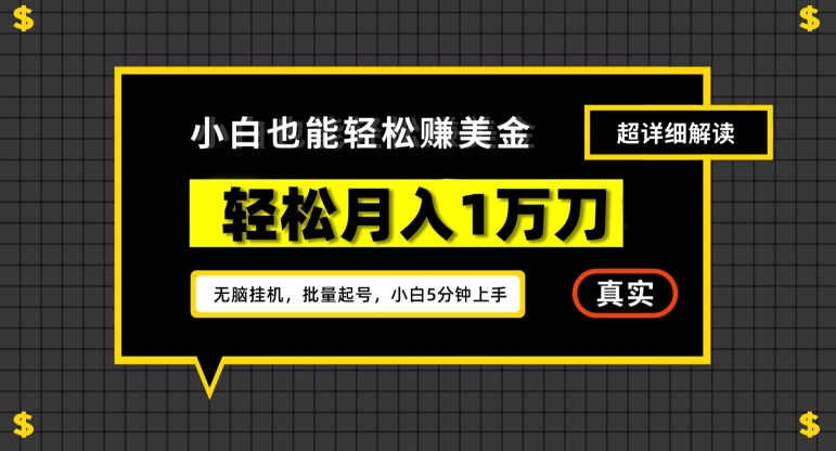 谷歌看广告撸美金2.0，无脑挂机，多号操作，月入1万刀【揭秘】-锦年学吧