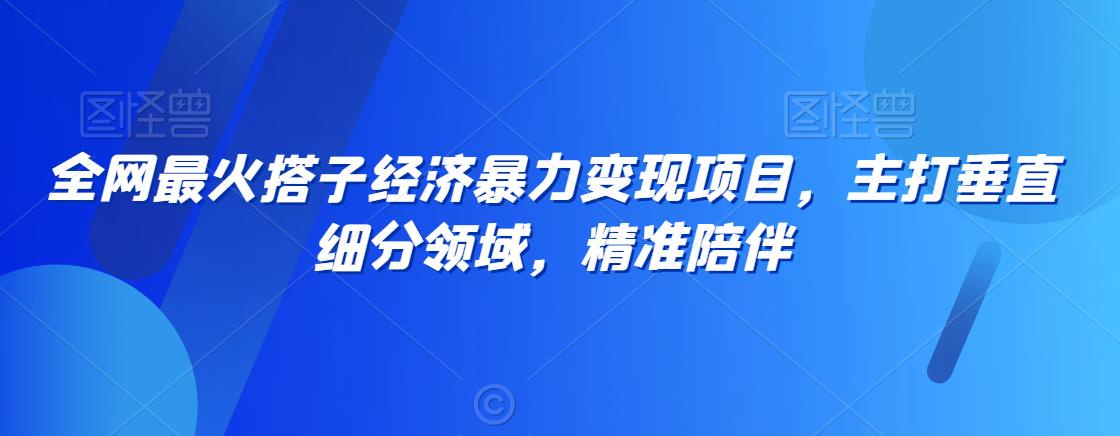 全网最火搭子经济暴力变现项目，主打垂直细分领域，精准陪伴【揭秘】-锦年学吧