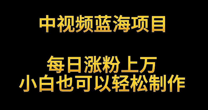 中视频蓝海项目，解读英雄人物生平，每日涨粉上万，小白也可以轻松制作，月入过万不是梦【揭秘】-锦年学吧