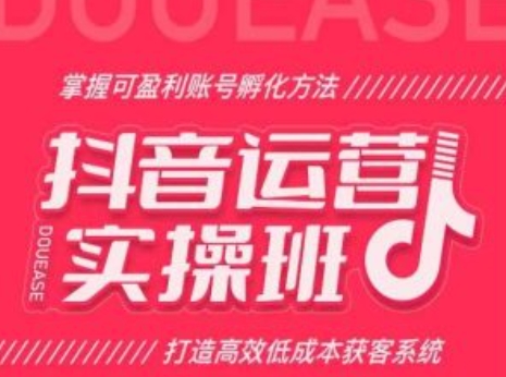 抖音运营实操班，掌握可盈利账号孵化方法，打造高效低成本获客系统-锦年学吧