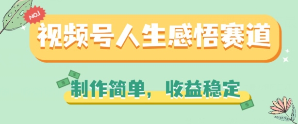 视频号人生感悟赛道，制作简单，收益稳定【揭秘】-锦年学吧