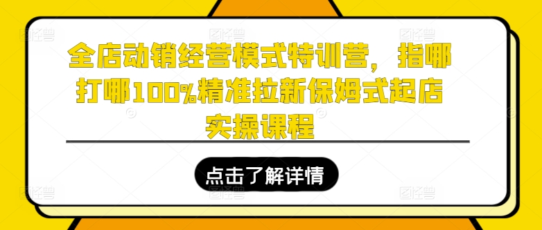 全店动销经营模式特训营，指哪打哪100%精准拉新保姆式起店实操课程-锦年学吧