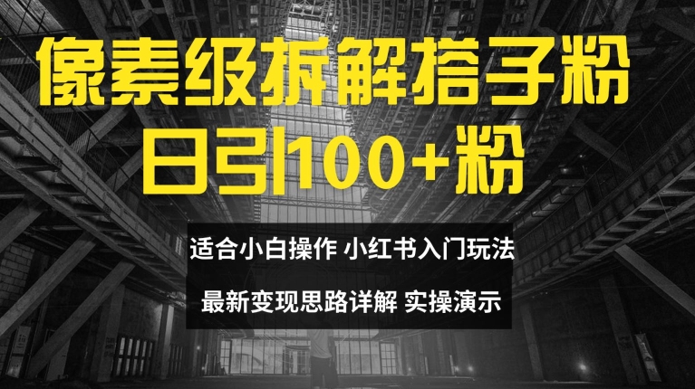 像素级拆解搭子粉，日引100+，小白看完可上手，最新变现思路详解【揭秘】-锦年学吧