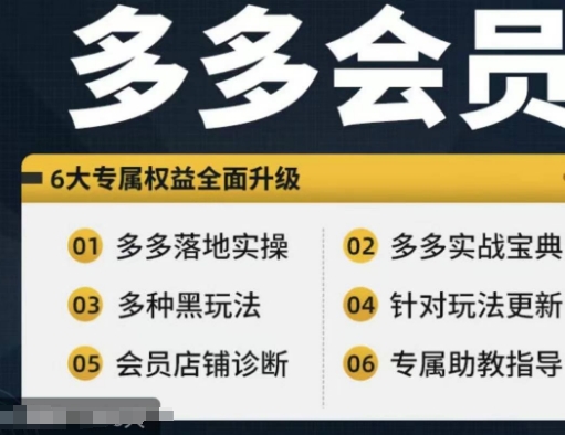 拼多多会员，拼多多实战宝典+实战落地实操，从新手到高阶内容全面覆盖-锦年学吧