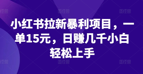 小红书拉新暴利项目，一单15元，日赚几千小白轻松上手【揭秘】-锦年学吧