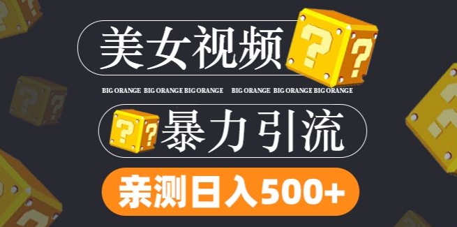 搬运tk美女视频全网分发，日引s粉300+，轻松变现，不限流量不封号【揭秘】-锦年学吧