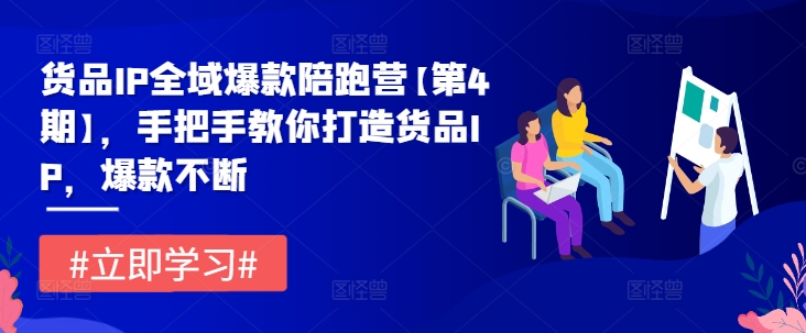 货品IP全域爆款陪跑营【第4期】，手把手教你打造货品IP，爆款不断-锦年学吧