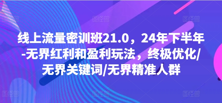 线上流量密训班21.0，24年下半年-无界红利和盈利玩法，终极优化/无界关键词/无界精准人群-锦年学吧