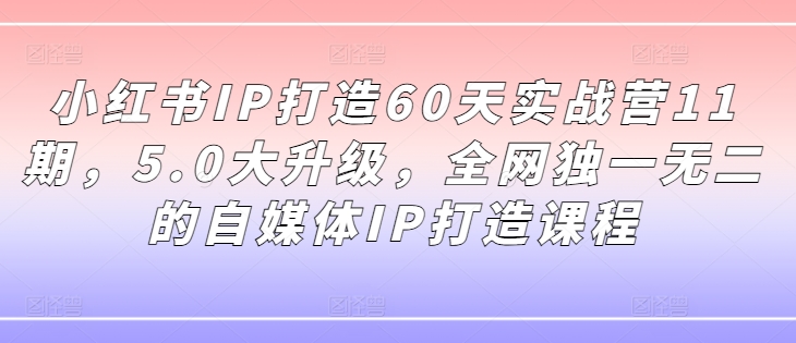 小红书IP打造60天实战营11期，5.0大升级，全网独一无二的自媒体IP打造课程-锦年学吧