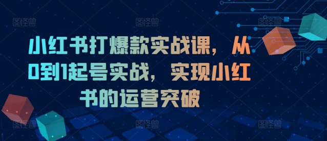 小红书打爆款实战课，从0到1起号实战，实现小红书的运营突破-锦年学吧