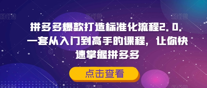 拼多多爆款打造标准化流程2.0，一套从入门到高手的课程，让你快速掌握拼多多-锦年学吧