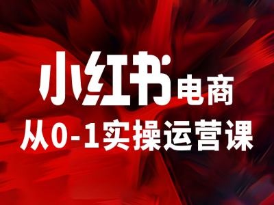 小红书电商从0-1实操运营课，让你从小白到精英-锦年学吧