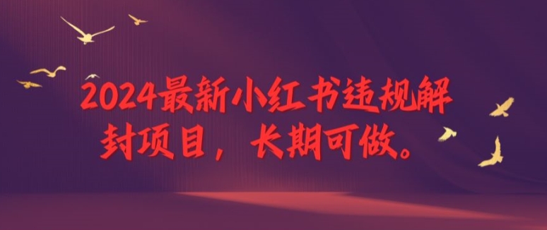 2024最新小红书违规解封项目，长期可做，一个可以做到退休的项目【揭秘】-锦年学吧