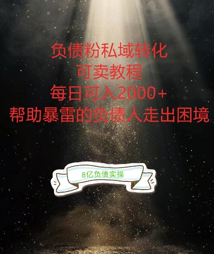 负债粉掘金计划，帮助负债者解决问题，债务规划，债务重组，最好的变现方式【揭秘】-锦年学吧