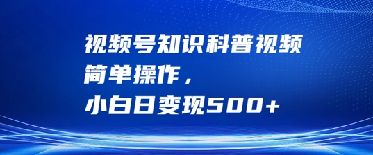 视频号知识科普视频，简单操作，小白日变现500+【揭秘】-锦年学吧