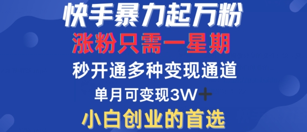 快手暴力起万粉，涨粉只需一星期，多种变现模式，直接秒开万合，单月变现过W【揭秘】-锦年学吧