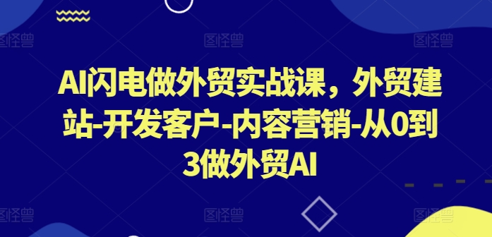 AI闪电做外贸实战课，​外贸建站-开发客户-内容营销-从0到3做外贸AI（更新）-锦年学吧