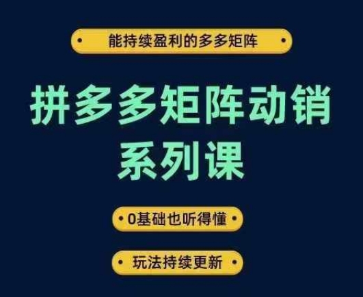 拼多多矩阵动销系列课，能持续盈利的多多矩阵，0基础也听得懂，玩法持续更新-锦年学吧