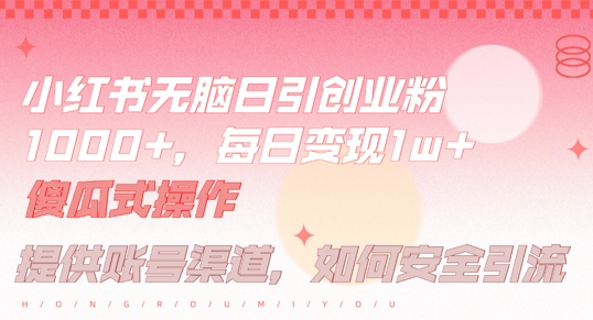 小红书无脑每日引流创业粉500+，小白每天只花半小时，躺赚长尾收益【揭秘】-锦年学吧