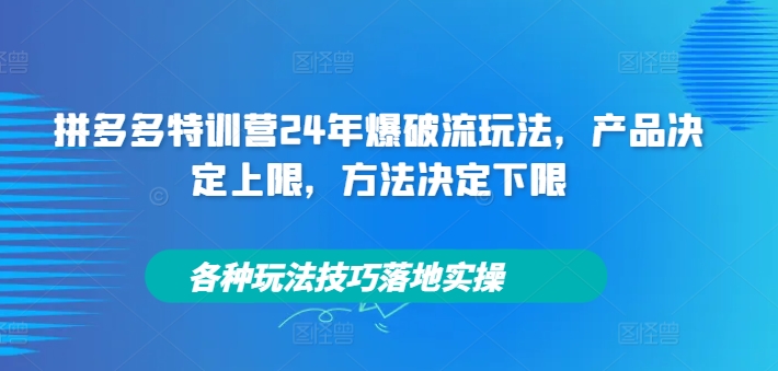 拼多多特训营24年爆破流玩法，产品决定上限，方法决定下限，各种玩法技巧落地实操-锦年学吧