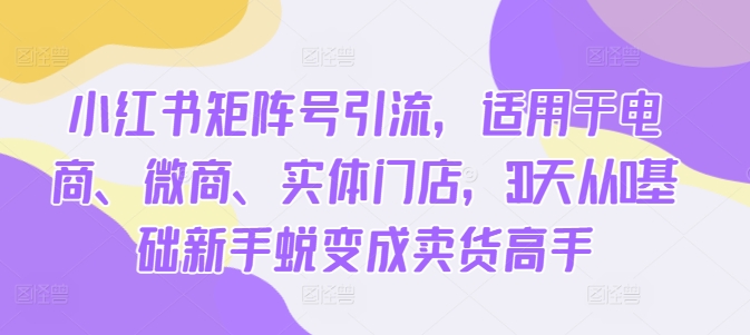 小红书矩阵号引流，适用于电商、微商、实体门店，30天从0基础新手蜕变成卖货高手-锦年学吧