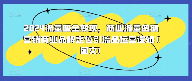 2024流量吸金变现，商业流量密码营销商业品牌定位引流品运营逻辑(图文)-锦年学吧