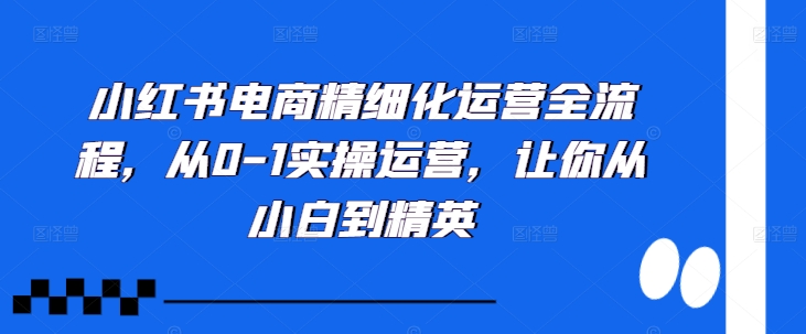 小红书电商精细化运营全流程，从0-1实操运营，让你从小白到精英-锦年学吧