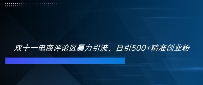 双十一电商评论区暴力引流，日引500+精准创业粉【揭秘】-锦年学吧