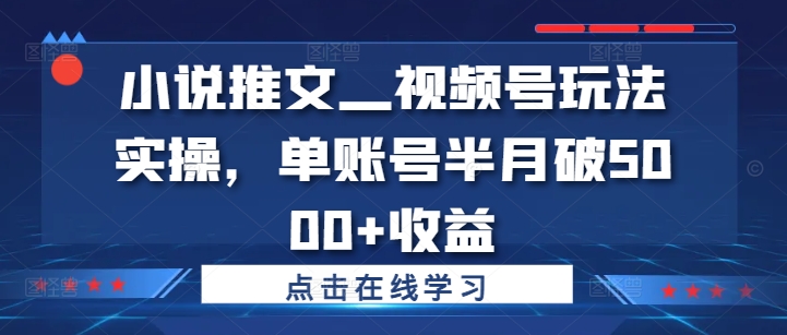 小说推文—视频号玩法实操，单账号半月破5000+收益-锦年学吧