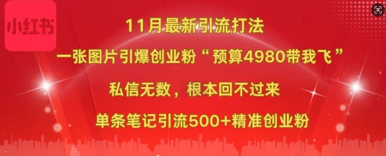 小红书11月最新图片打粉，一张图片引爆创业粉，“预算4980带我飞”，单条引流500+精准创业粉-锦年学吧