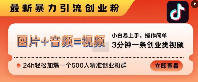 抖音最新暴力引流创业粉，3分钟一条创业类视频，24h轻松加爆一个500人精准创业粉群【揭秘】-锦年学吧