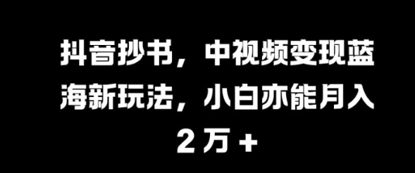 抖音抄书，中视频变现蓝海新玩法，小白亦能月入 过W【揭秘】-锦年学吧