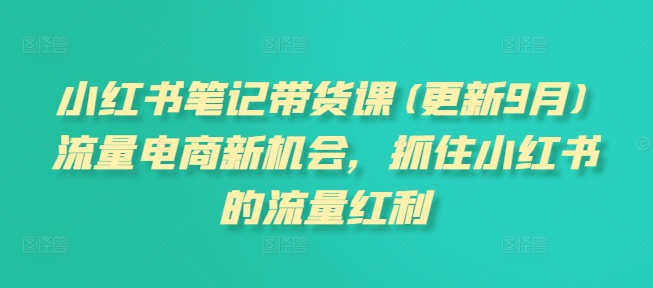 小红书笔记带货课(更新12月)流量电商新机会，抓住小红书的流量红利-锦年学吧