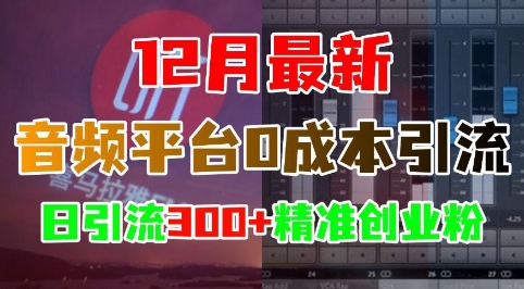 12月最新：音频平台0成本引流，日引流300+精准创业粉-锦年学吧