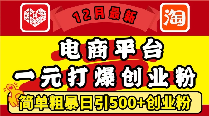 12月最新：电商平台1元打爆创业粉，简单粗暴日引500+精准创业粉，轻松月入过W【揭秘】-锦年学吧