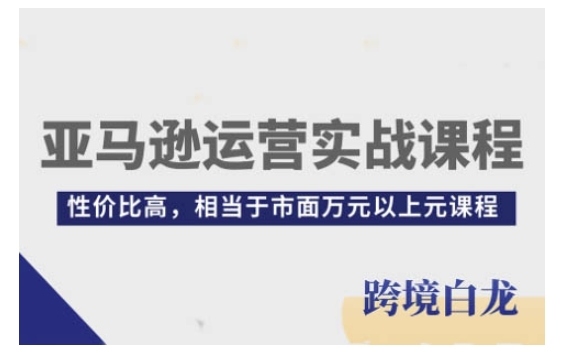 亚马逊运营实战课程，亚马逊从入门到精通，性价比高，相当于市面万元以上元课程-锦年学吧