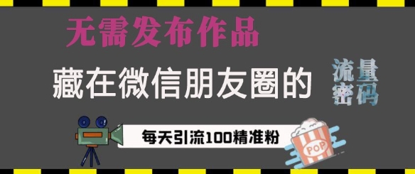 藏在微信朋友圈的流量密码，无需发布作品，单日引流100+精准创业粉【揭秘】-锦年学吧