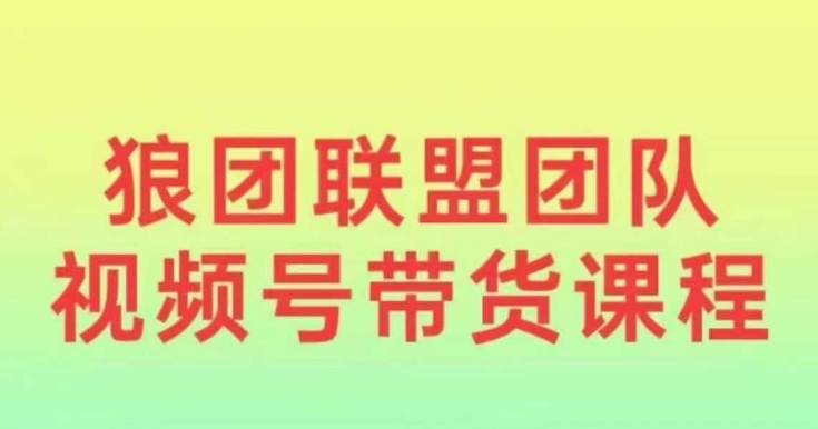 狼团联盟2024视频号带货，0基础小白快速入局视频号-锦年学吧