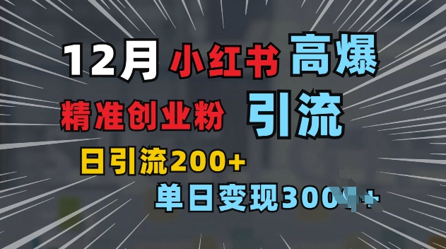 小红书一张图片“引爆”创业粉，单日+200+精准创业粉 可筛选付费意识创业粉【揭秘】-锦年学吧